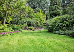 Optimiser l'expérience du jardin à Conflans-sur-Loing